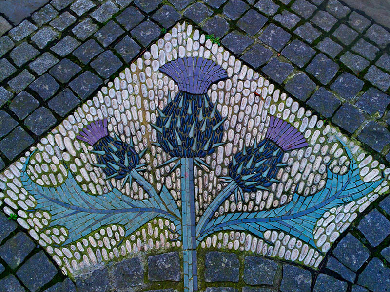 Шотландские символы чертополох