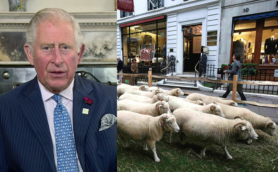 Шетландская шерсть The Campaign for Wool