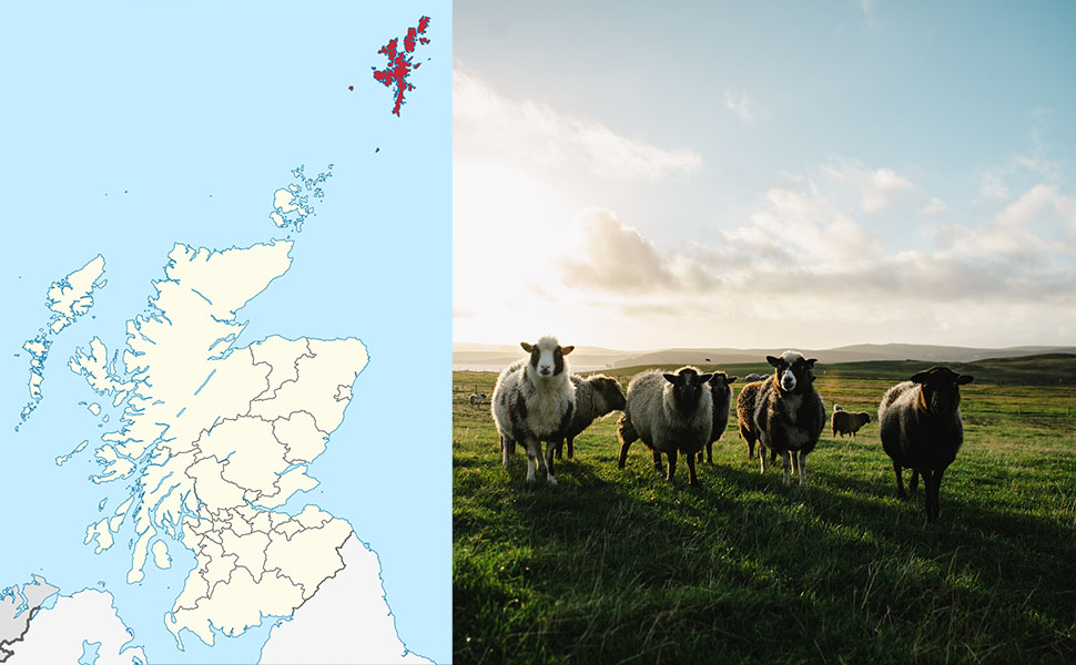 Шетландская шерсть острова