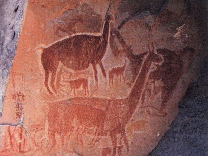 Шерсть перуанских викуний наскальные рисунки индейцев