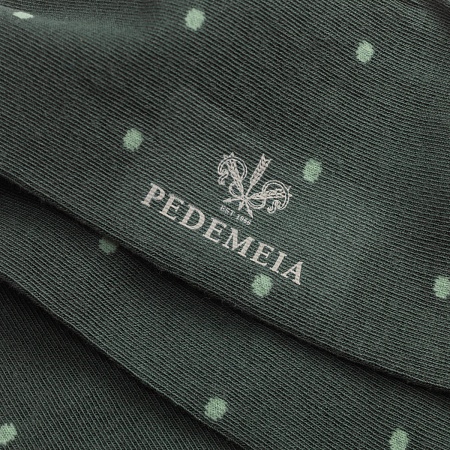 Pedemeia N489-2053