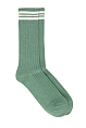 Pedemeia J145-36