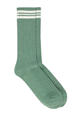 Pedemeia J145-36