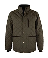 Oxford Blue Aron Olive