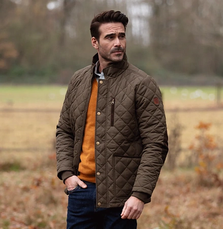 Oxford Blue Aron Olive