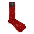 Pedemeia N541-44