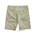 Chinos Shorts Green