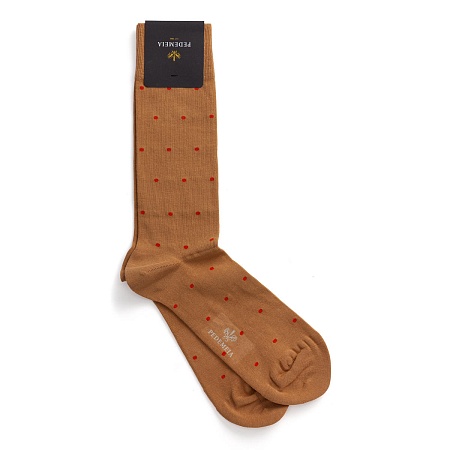Pedemeia N489-10