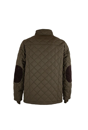 Oxford Blue Aron Olive