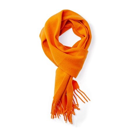 Edinburgh Bright Marigold