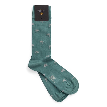 Pedemeia N541-131