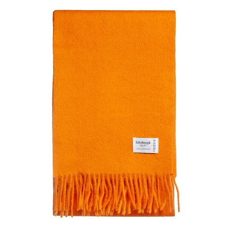 Edinburgh Bright Marigold