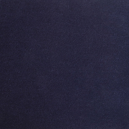 Edinburgh Navy