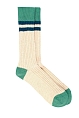 Pedemeia J943-36